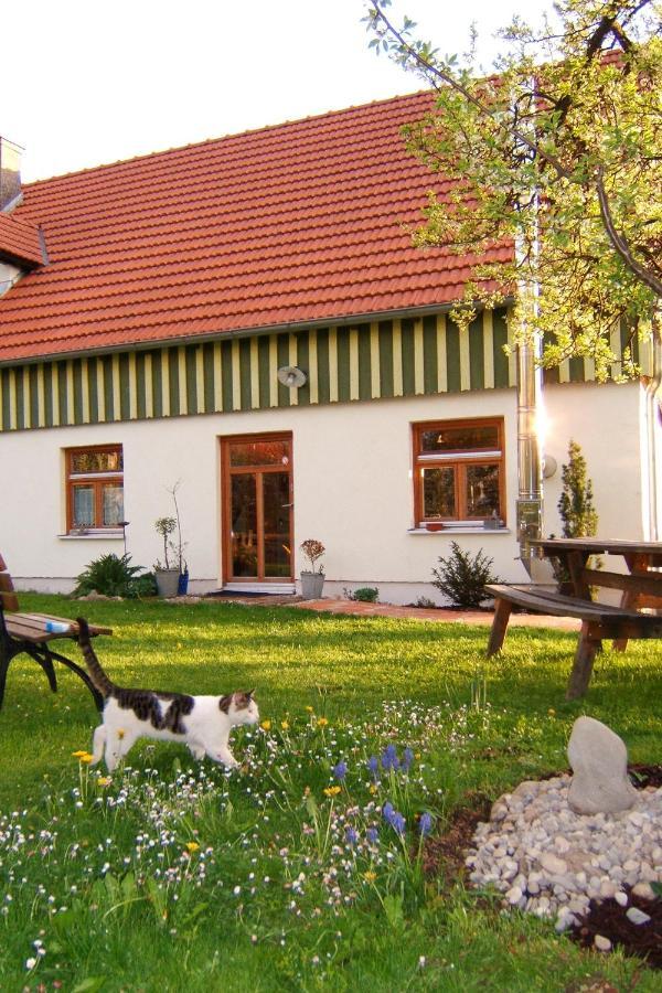 Bio Pension Kirschenfee Зонтхайм Экстерьер фото